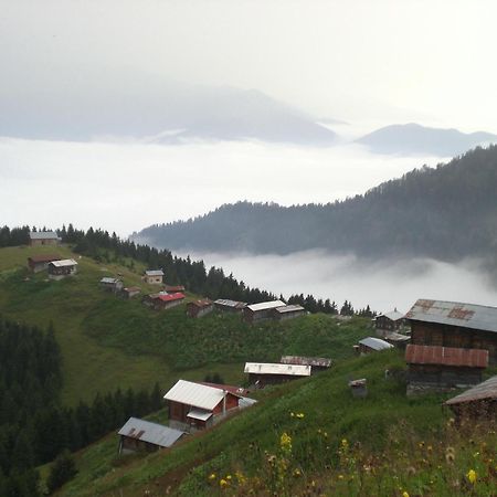Ayder Hasimoglu Hotel Екстер'єр фото