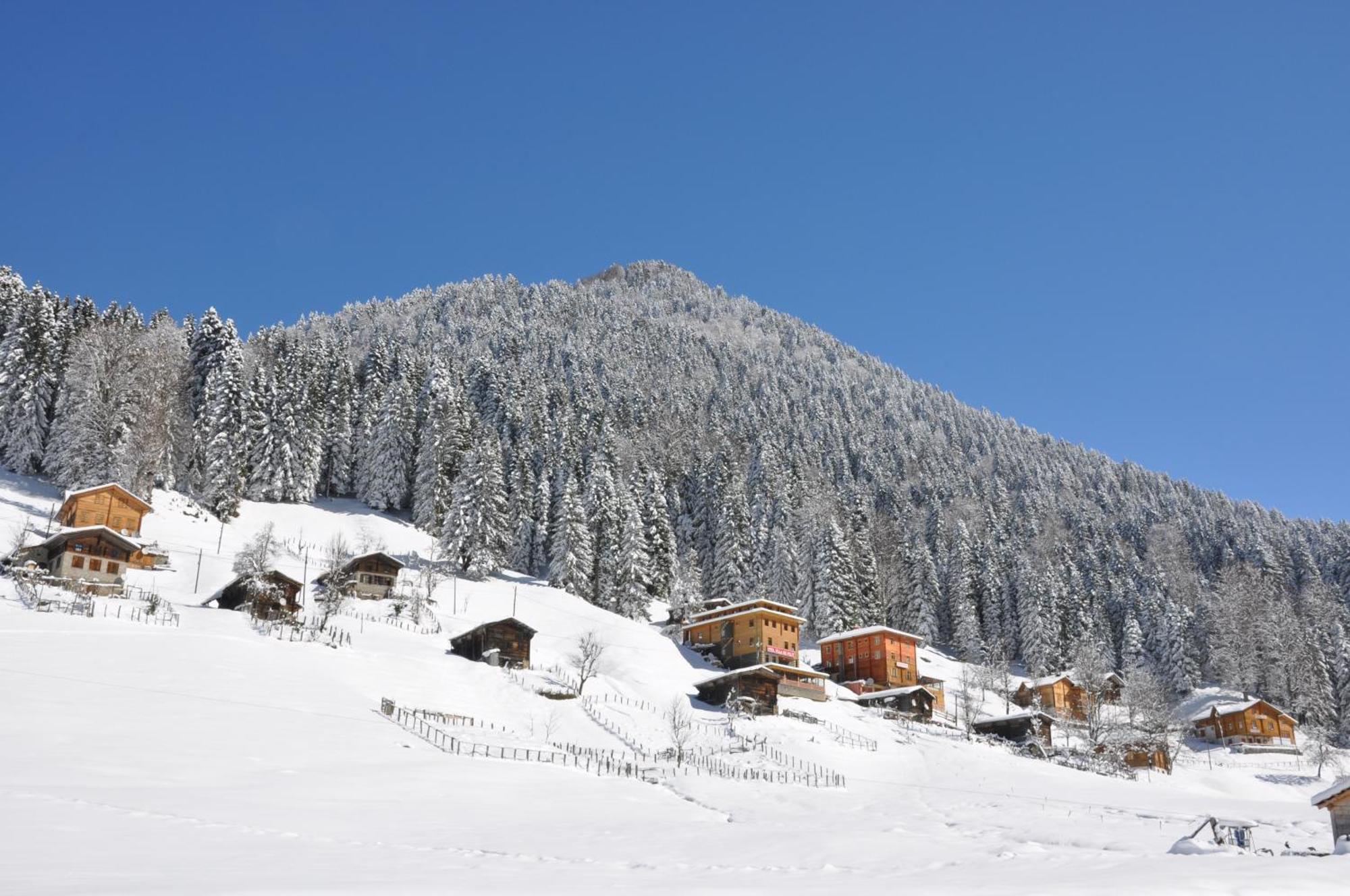 Ayder Hasimoglu Hotel Екстер'єр фото
